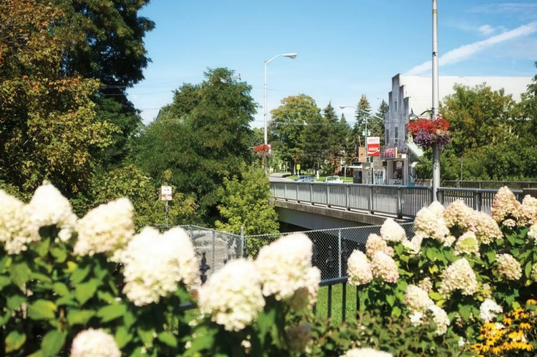Taxi Transportation Beaverton