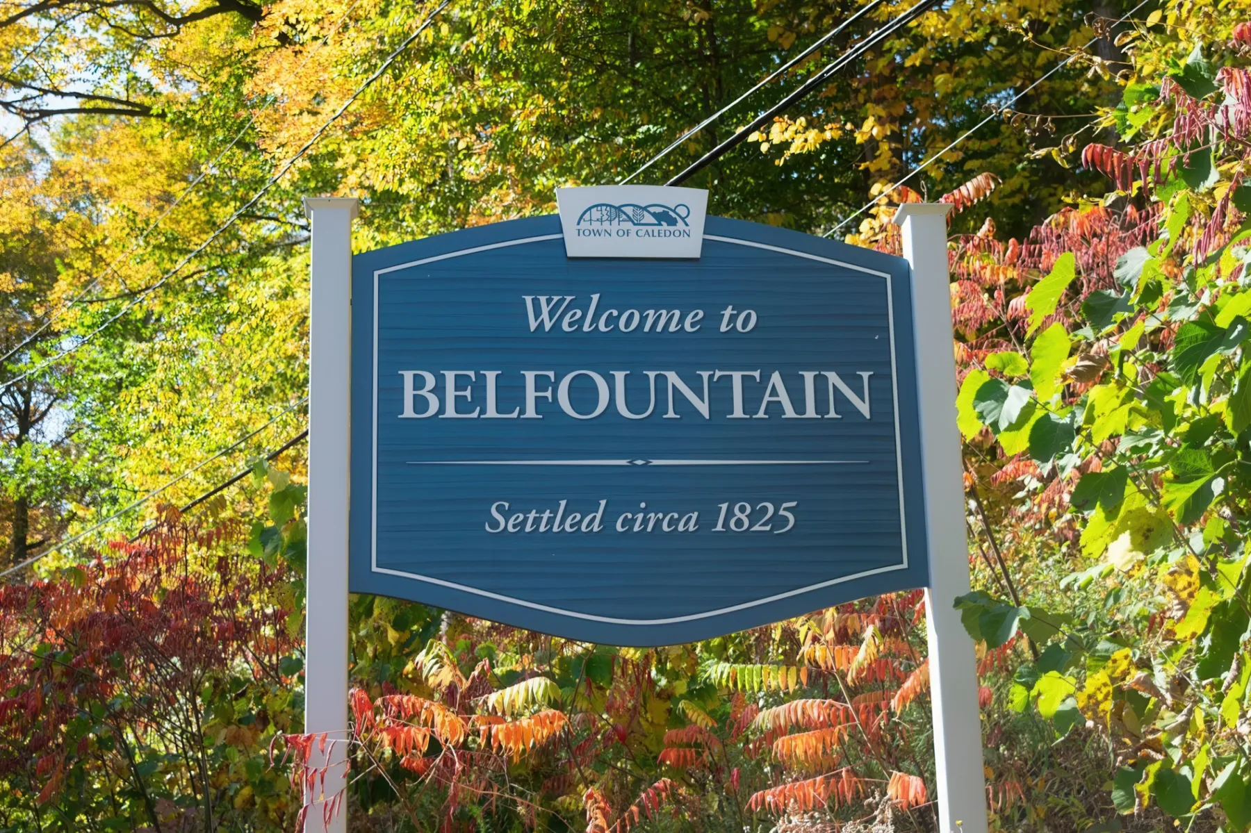 Belfountain Limo Service