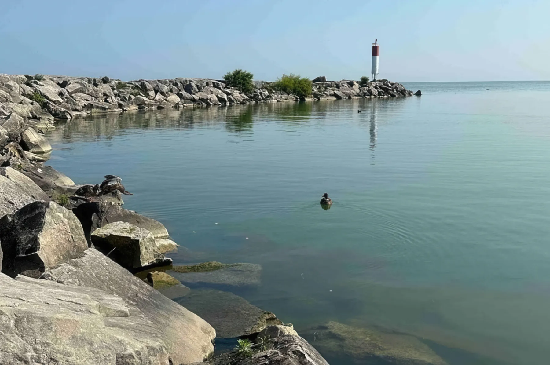 Belle River Views – Limo Drop Off