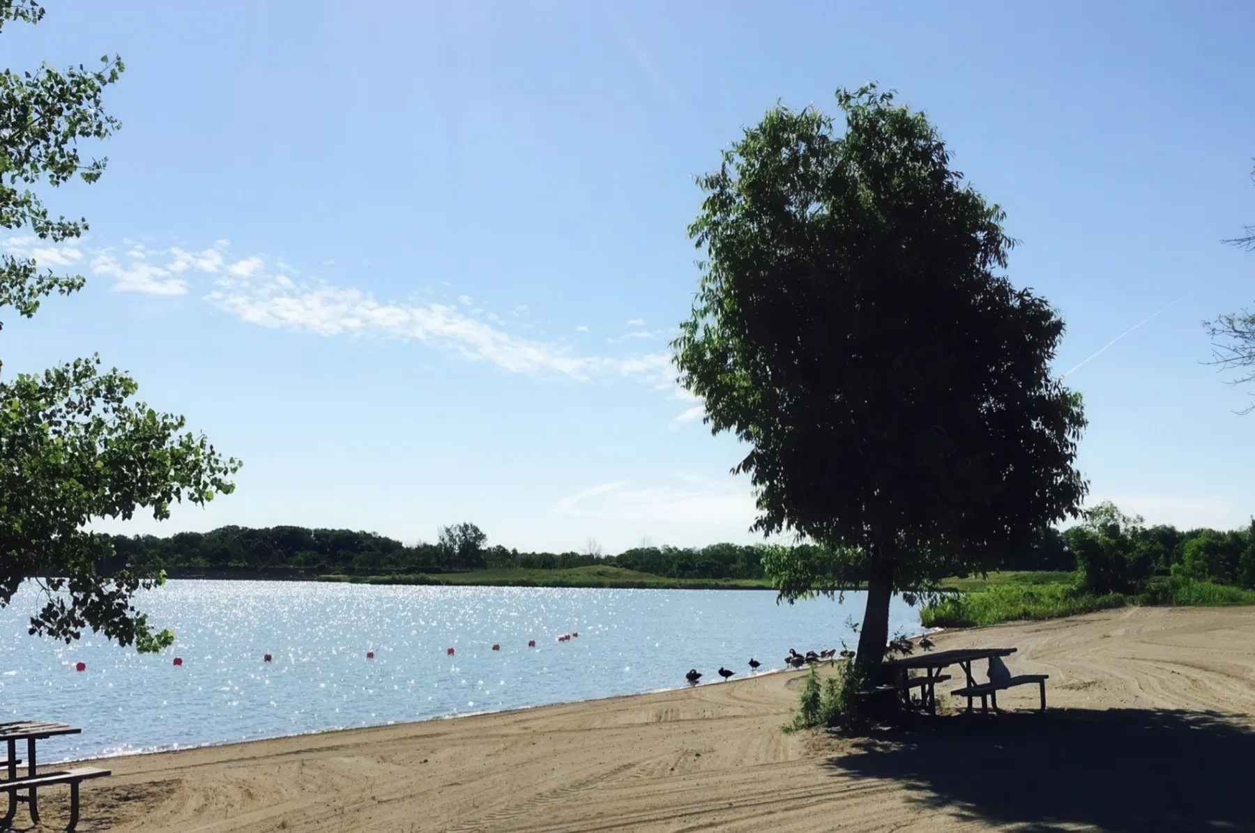 Binbrook – Taxi Ride Available