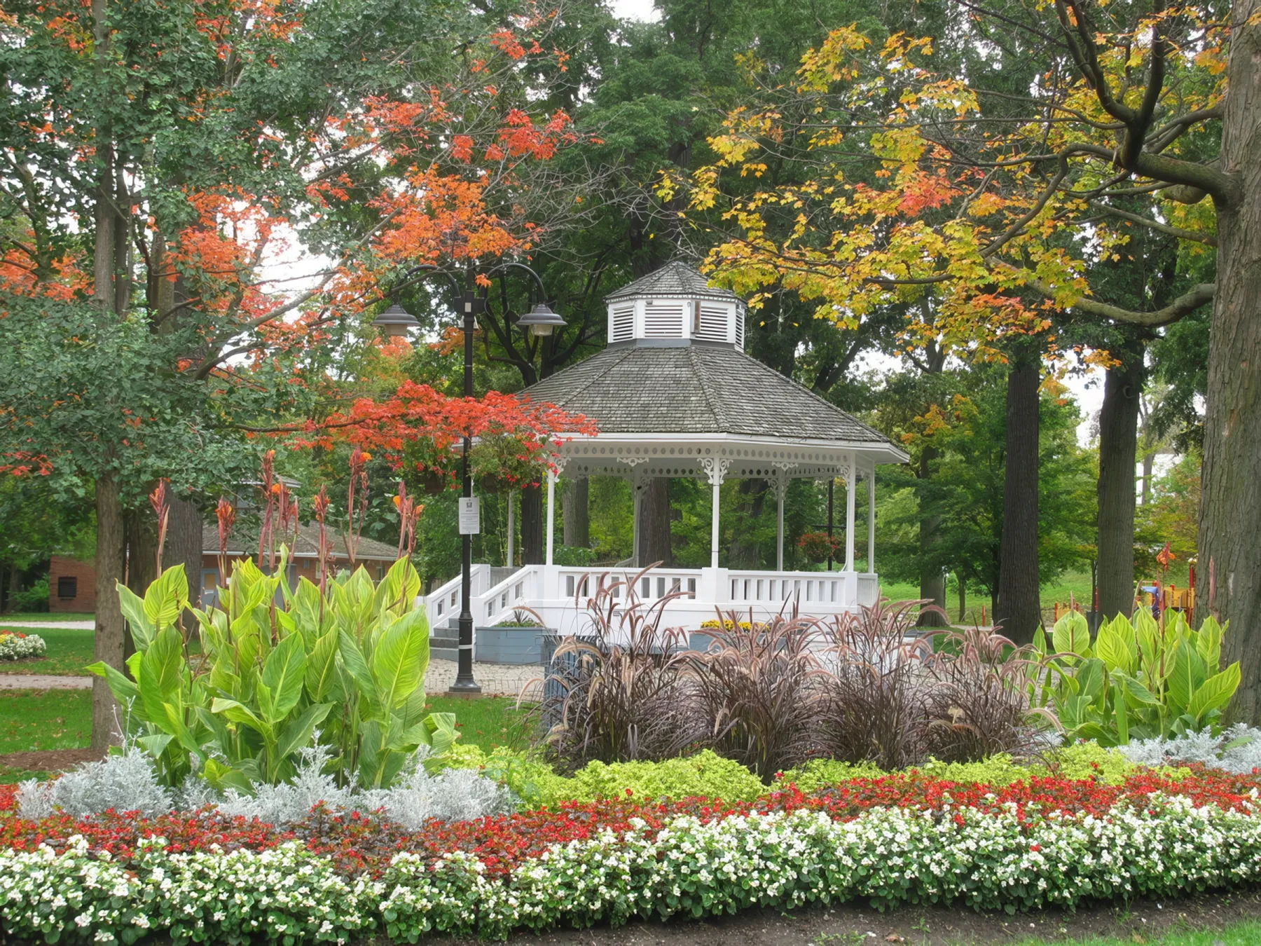 Brampton Views – Taxi Pickup