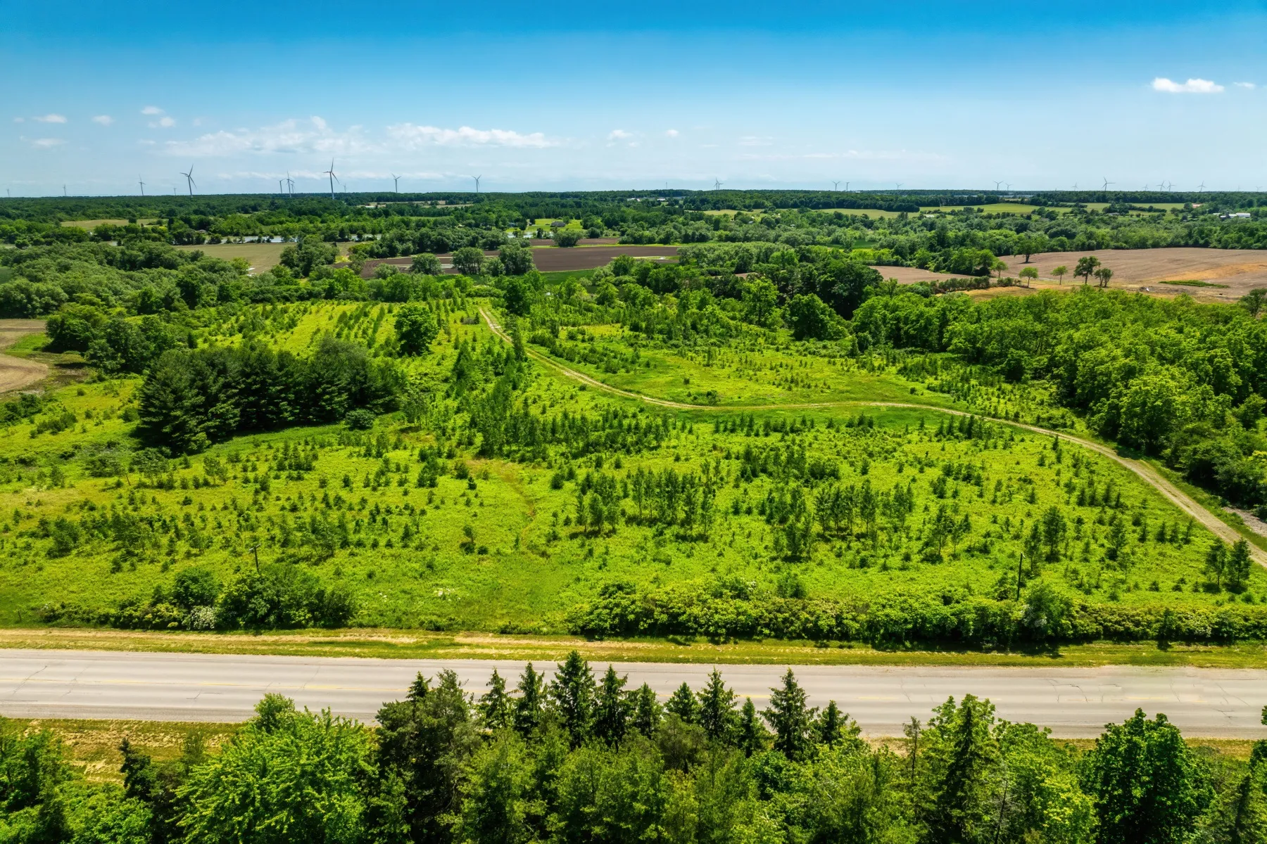 Airport Transportation Coverage in Cayuga