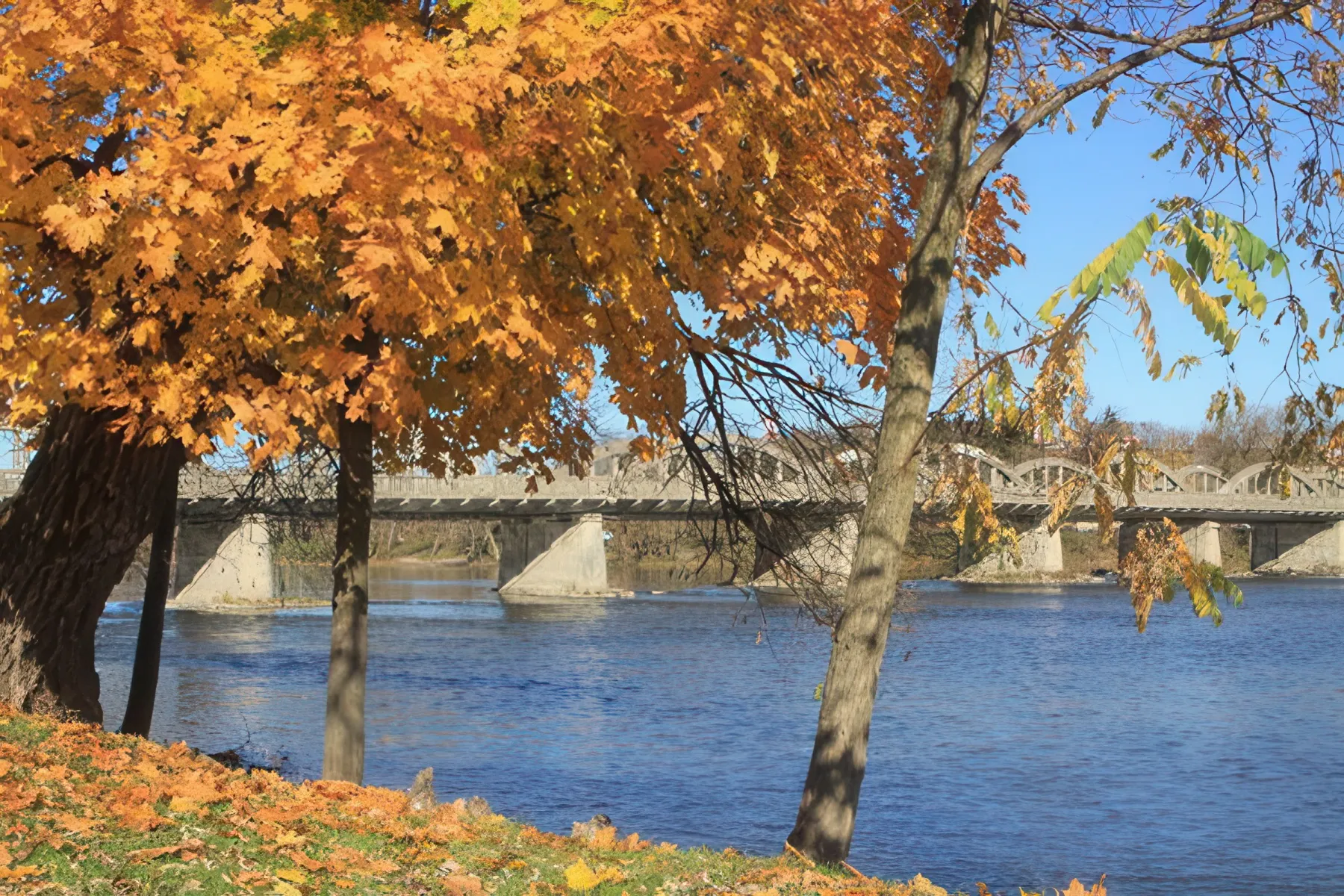 Airport Transportation Coverage in Cayuga