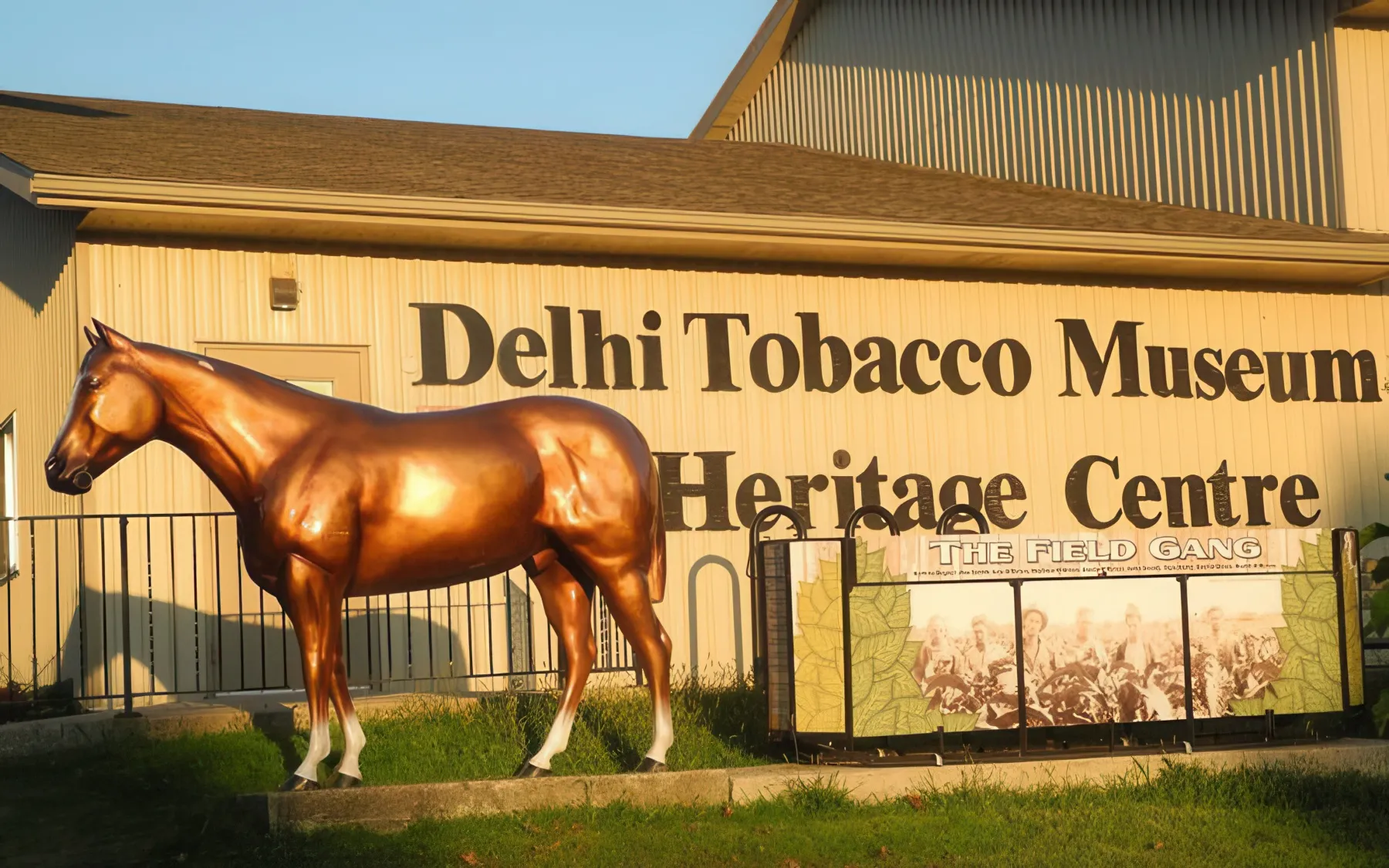 Affordable Limo in Delhi