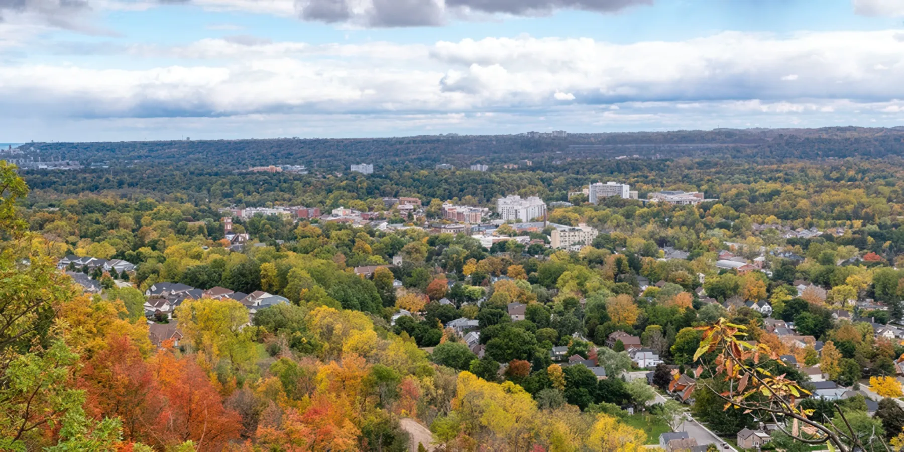 Taxi Rides Available in Dundas