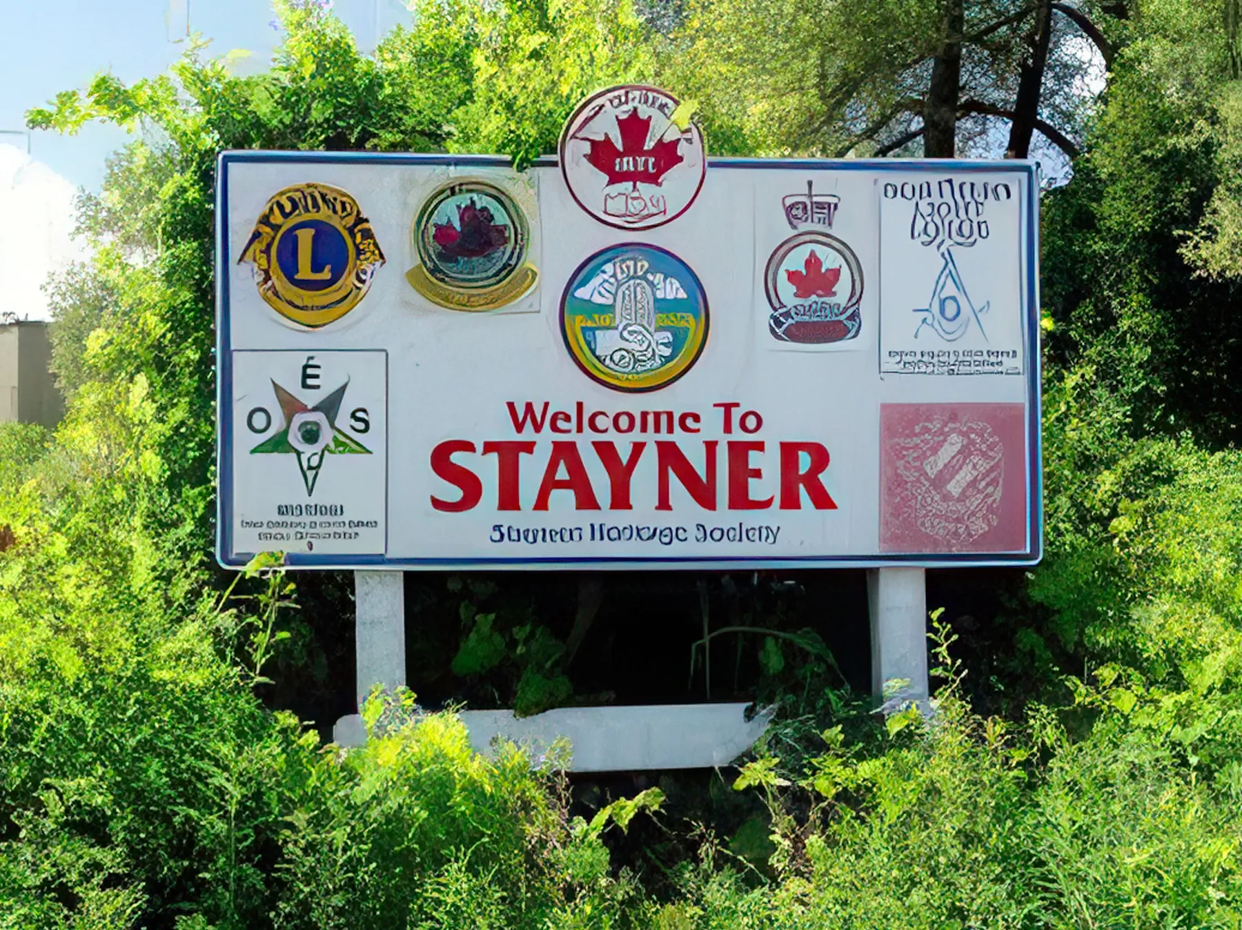 Stayner Limousine Service